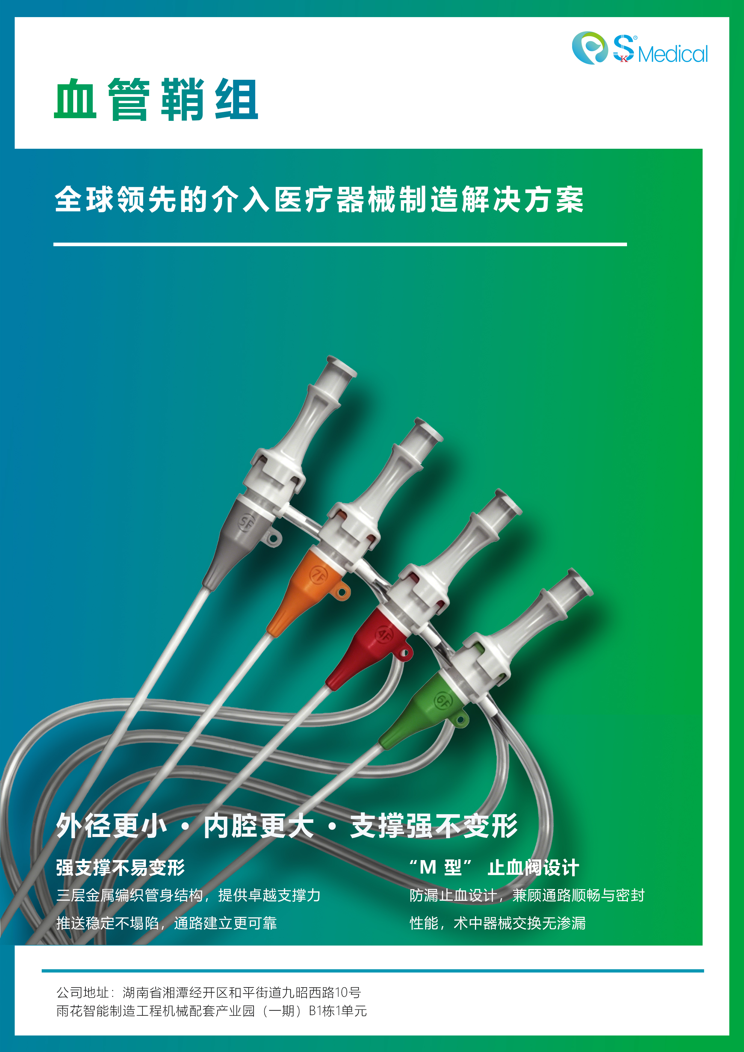 血管鞘组-1.jpg